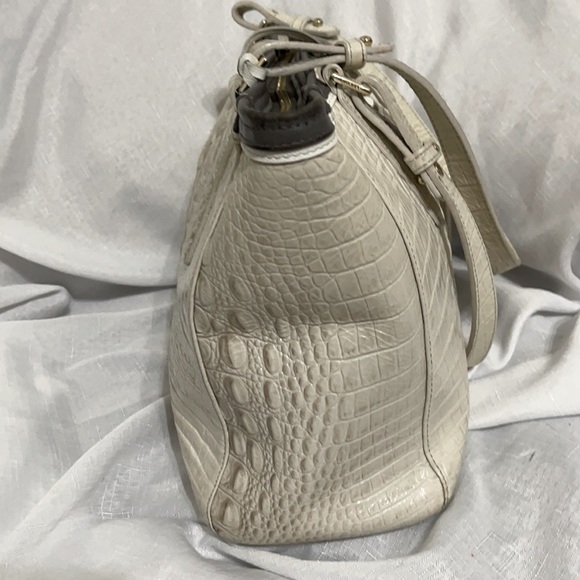 Brahmin - Picture 5 of 11